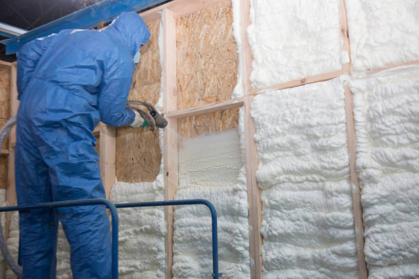 Best Insulation Air Sealing  in Campbell, OH